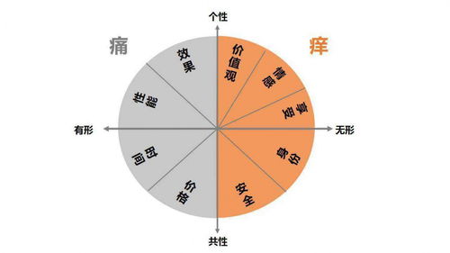 网红产品的前提 满足用户虚拟自我的实现能力