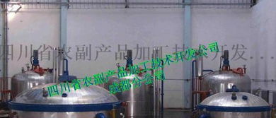 红薯脯生产线与加工设备 四川农副产业的技术革新